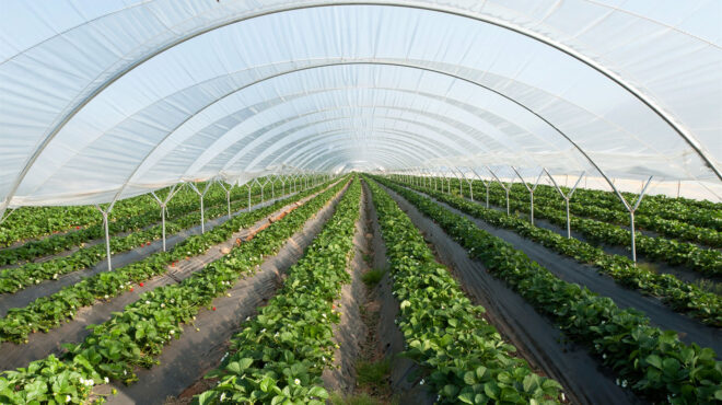 αρθρο-γ-στούμπου-στην-κ-περιμένοντα-563002981