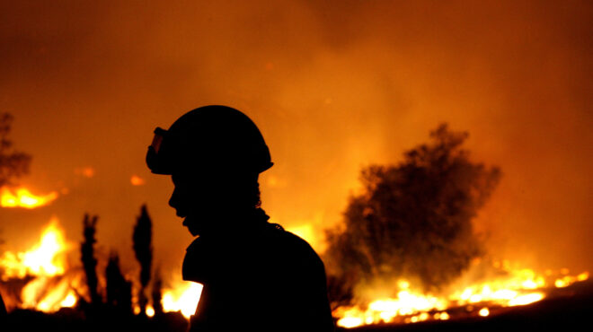 αχαΐα-φωτιά-σε-δασική-έκταση-562981216