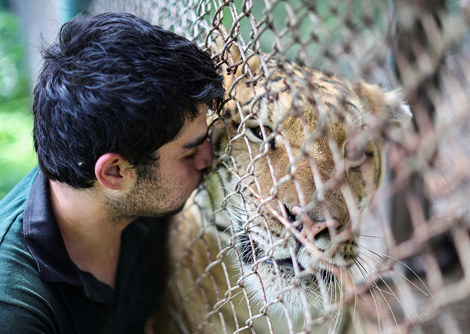 Βόλτα στην φύση, μέσα στην πόλη-3