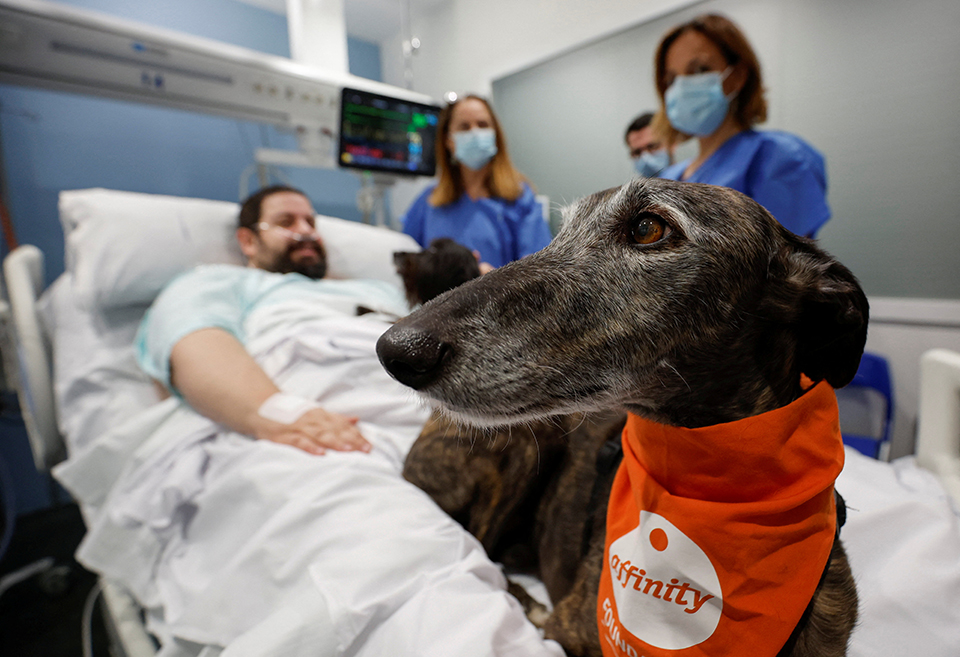 Και πάλι άνθη στην Ιαπωνία-2