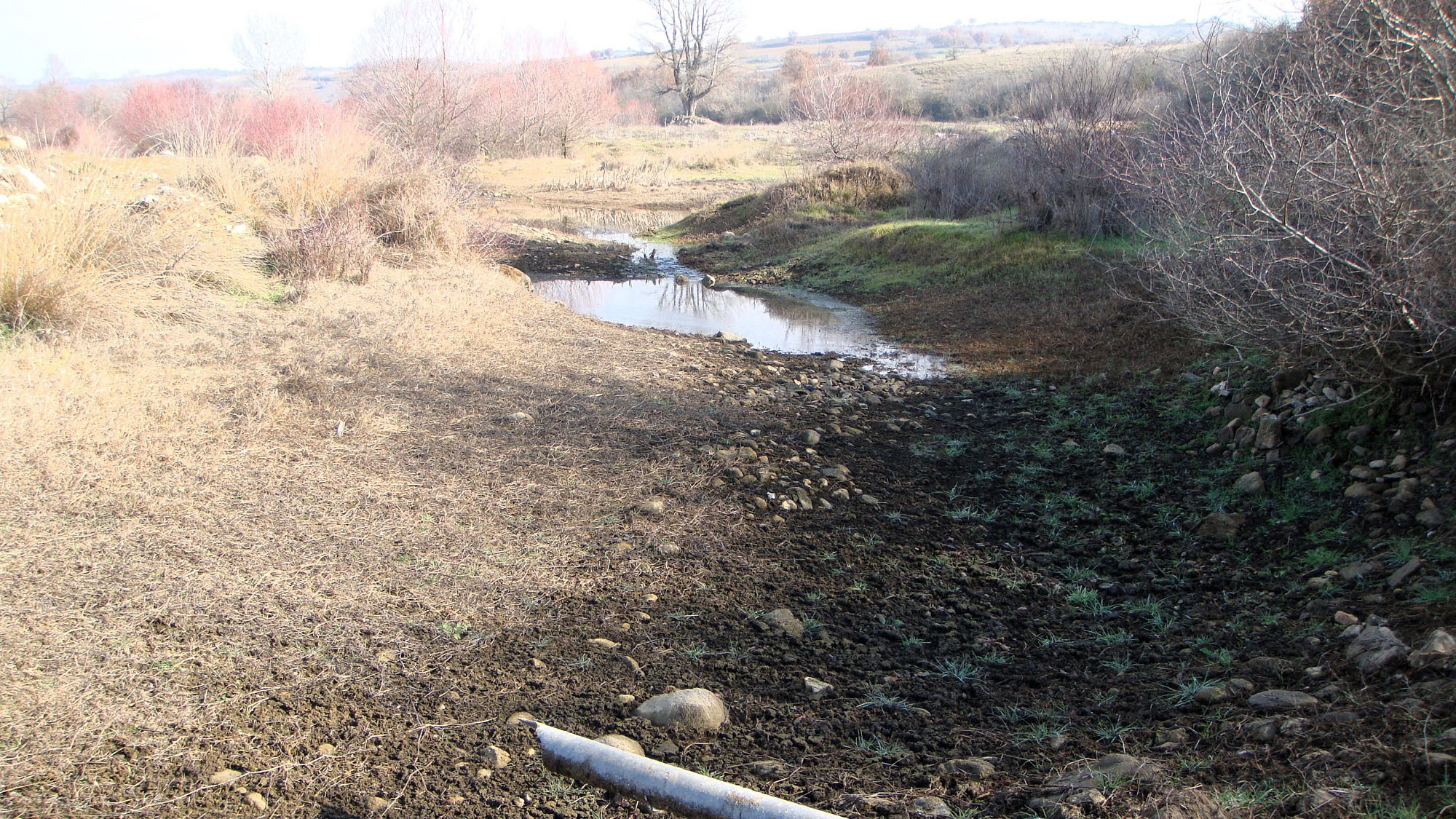 Βόρεια Ελλάδα: Ο ποταμός στέγνωσε, η λίμνη εξαφανίστηκε-9