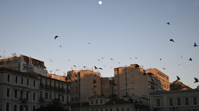 η-μυρωδιά-της-αθήνας-το-βράδυ-και-το-α5-η-562976245