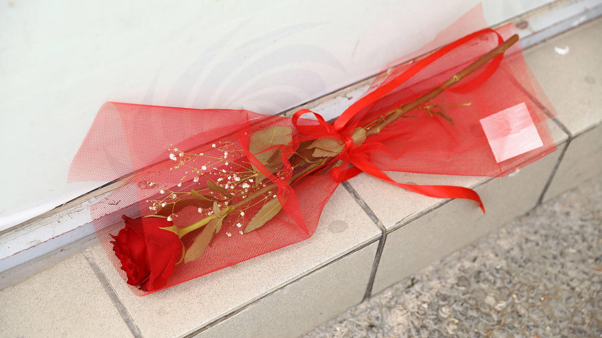 Αγιοι Ανάργυροι: «Επεσε πάνω της και άρχισε να τη χτυπά με το μαχαίρι», κατέθεσε ο φίλος της 28χρονης-2