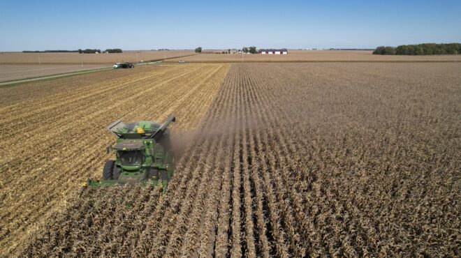πτώση-στις-παγκόσμιες-τιμές-των-τροφί-562996111