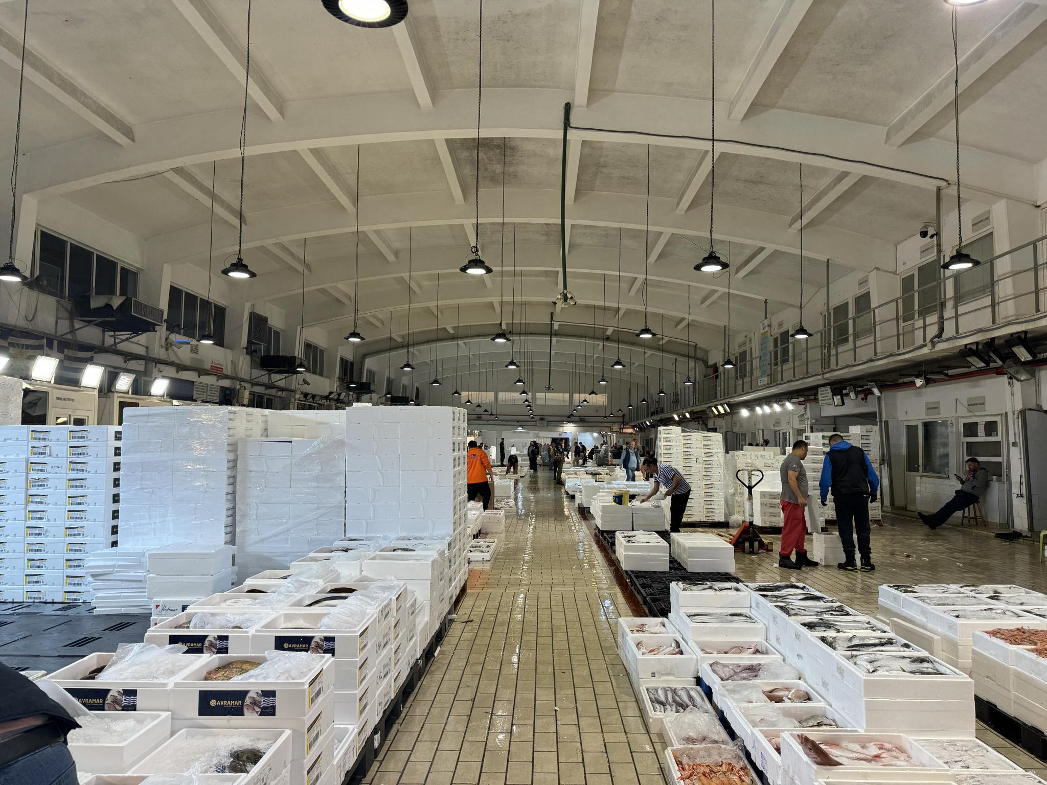 Μια νύχτα πάνω σε γρι-γρι στον Σαρωνικό-5