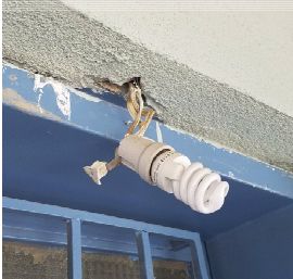 Γηρασμένα τα σχολικά κτίρια στην Αθήνα-3