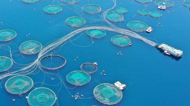 πλήθος-ενδιαφερομένων-για-την-avramar-562976356