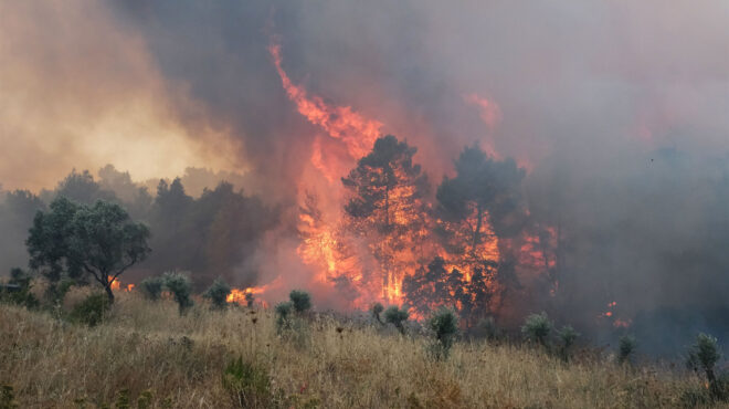 εντοπισμός-πυρκαγιών-από-μικροδορυφ-562991482