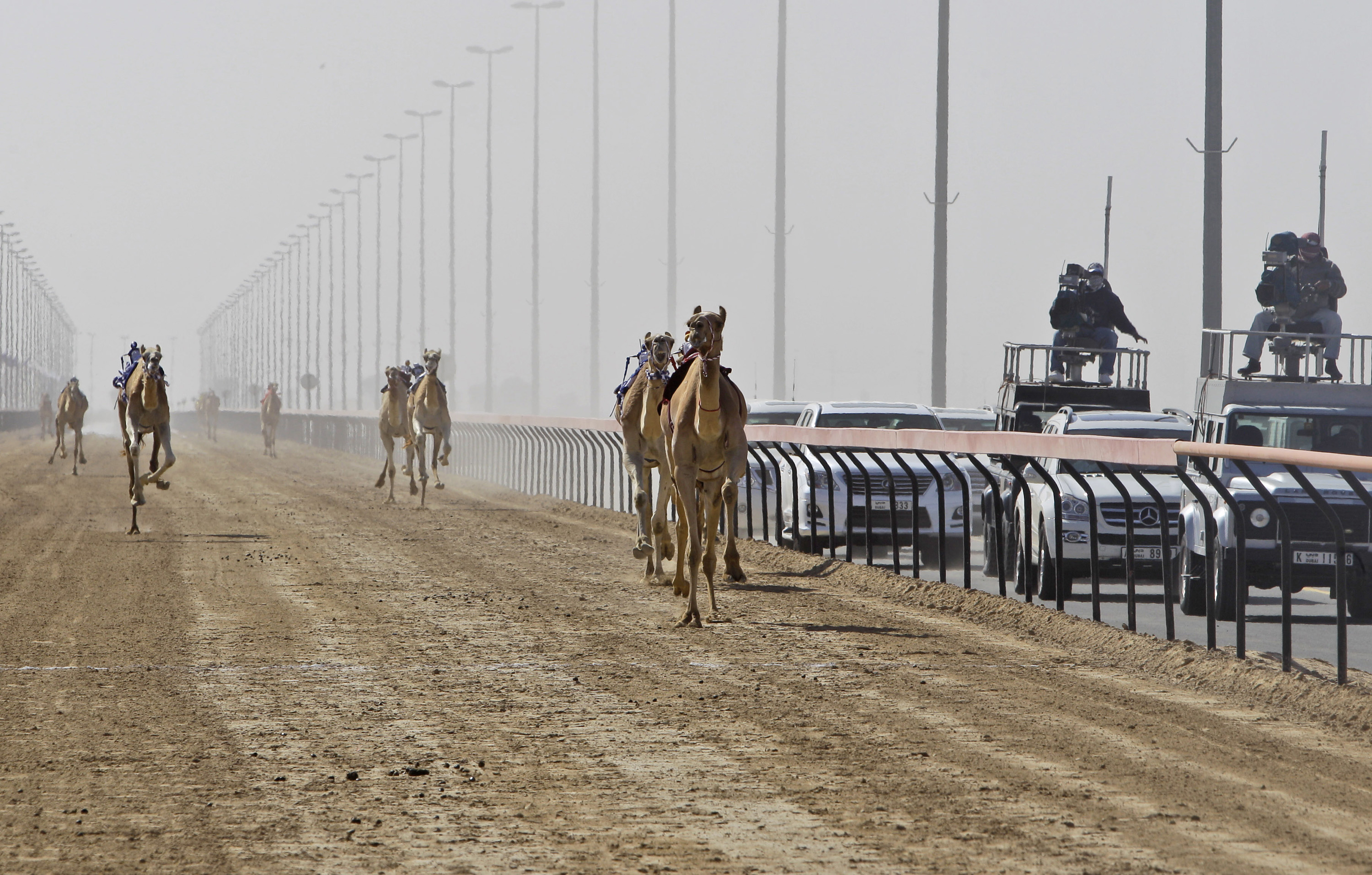 Η καμήλα είναι η νέα… αγελάδα σε καιρούς κλιματικής κρίσης-4