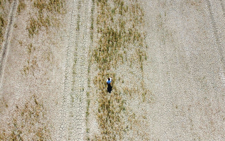 Μέτρα για βιώσιμες καλλιέργειες εν μέσω αυξανόμενης ξηρασίας