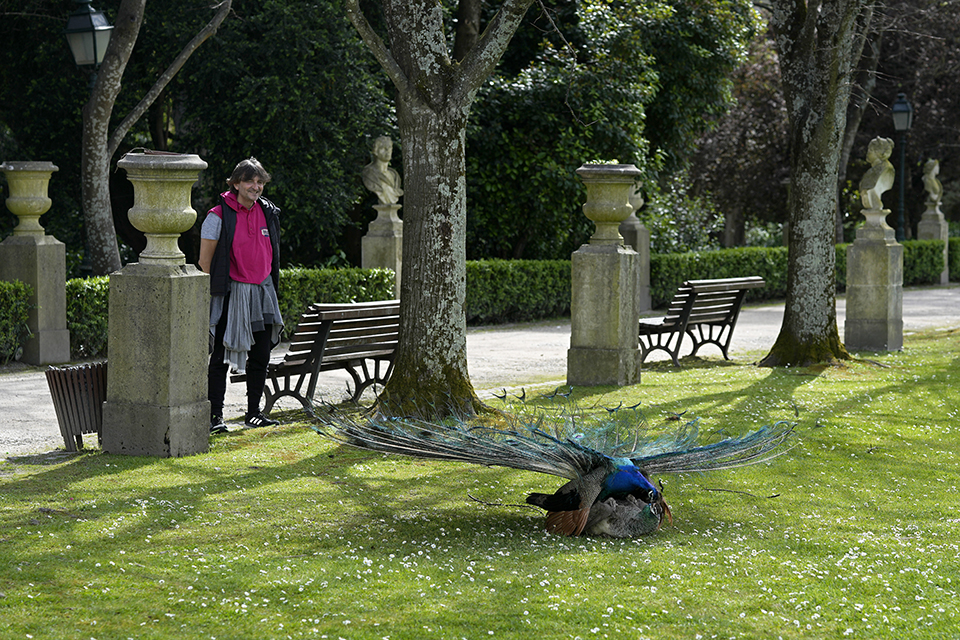 Τον θυμάστε;-2