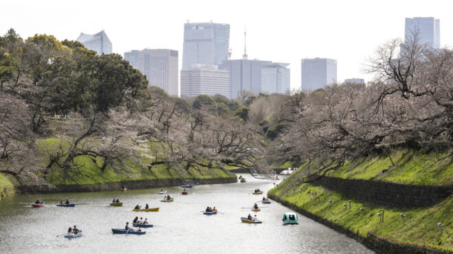 η-μαγική-εποχή-της-σακούρα-έφτασε-και-τ-562964809