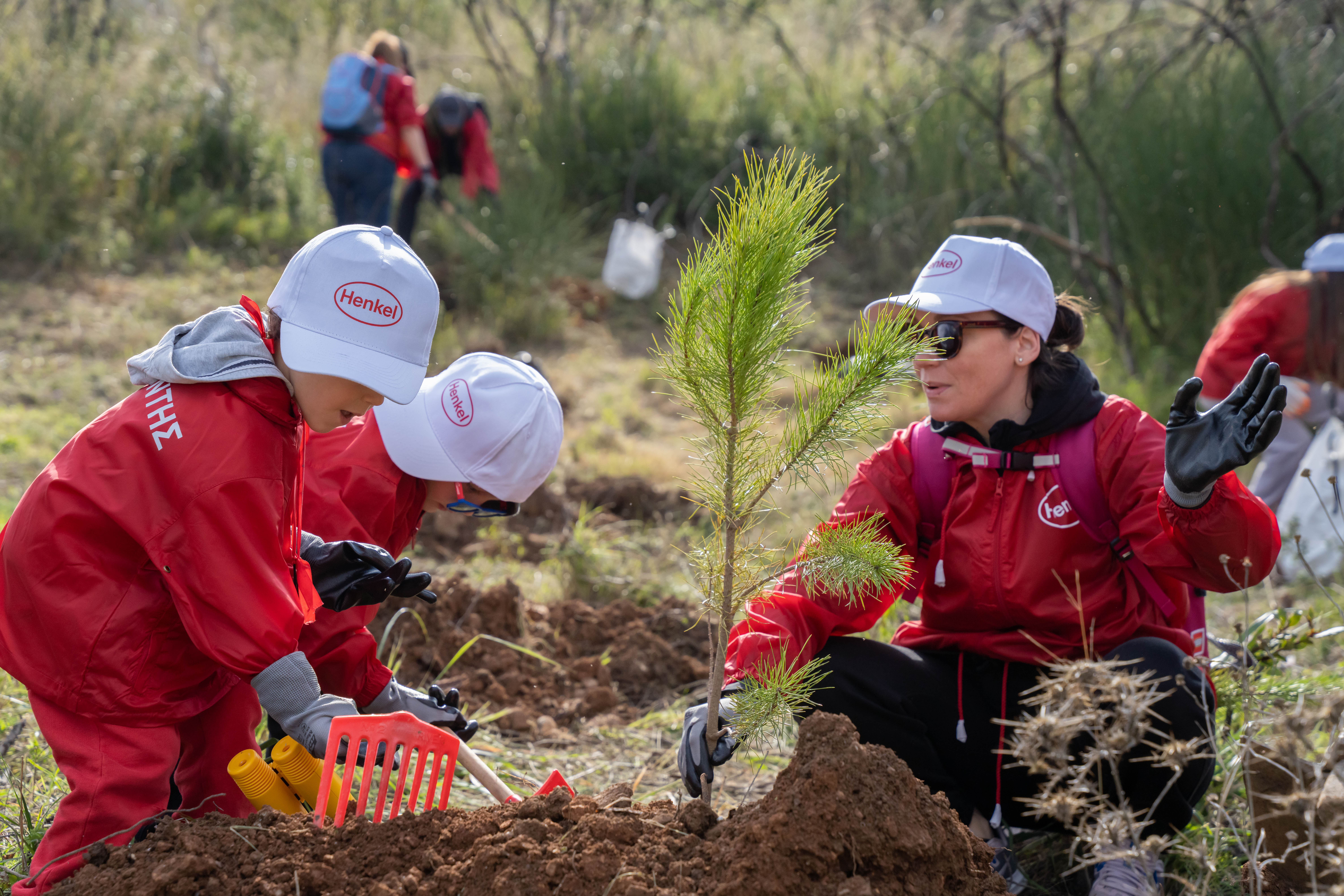 Ανάσα πρασίνου στην Πεντέλη-1
