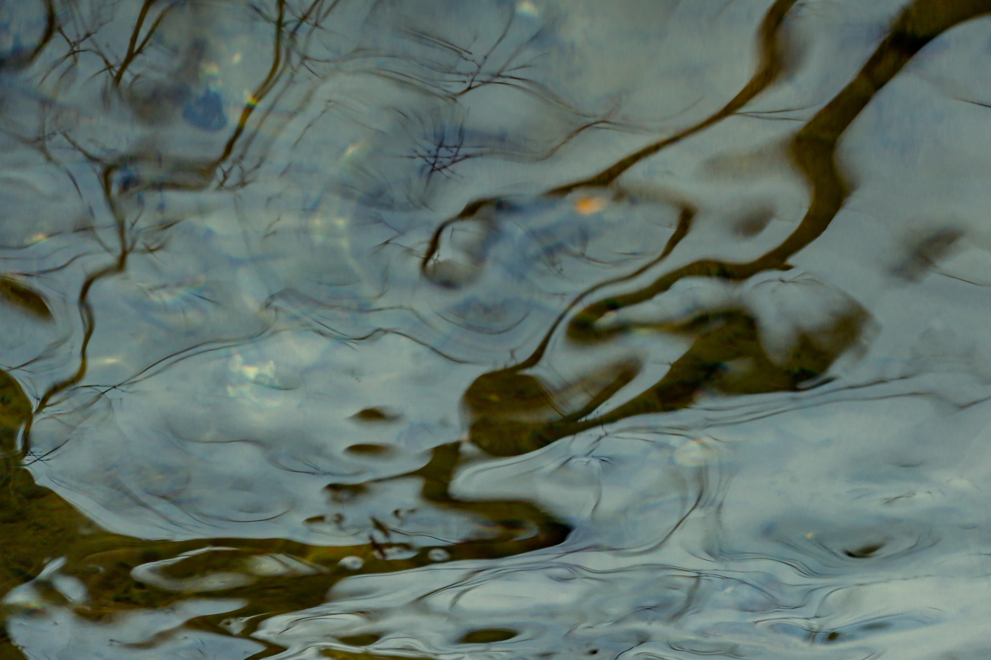 Εύα Μπέρλερ: H Ελληνίδα που μεγαλουργεί με τον μικρόκοσμό της-2