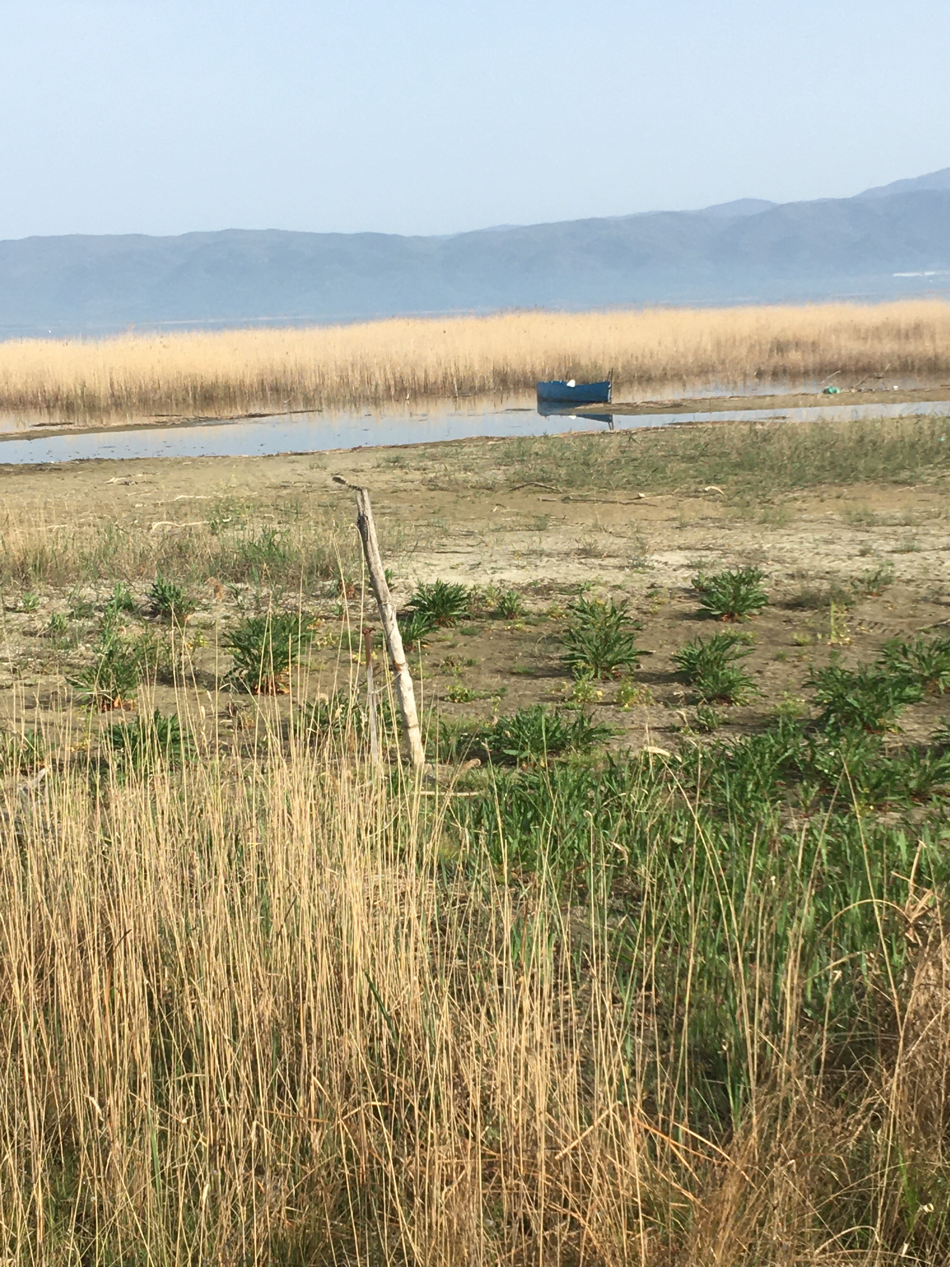 Βόρεια Ελλάδα: Ο ποταμός στέγνωσε, η λίμνη εξαφανίστηκε-1