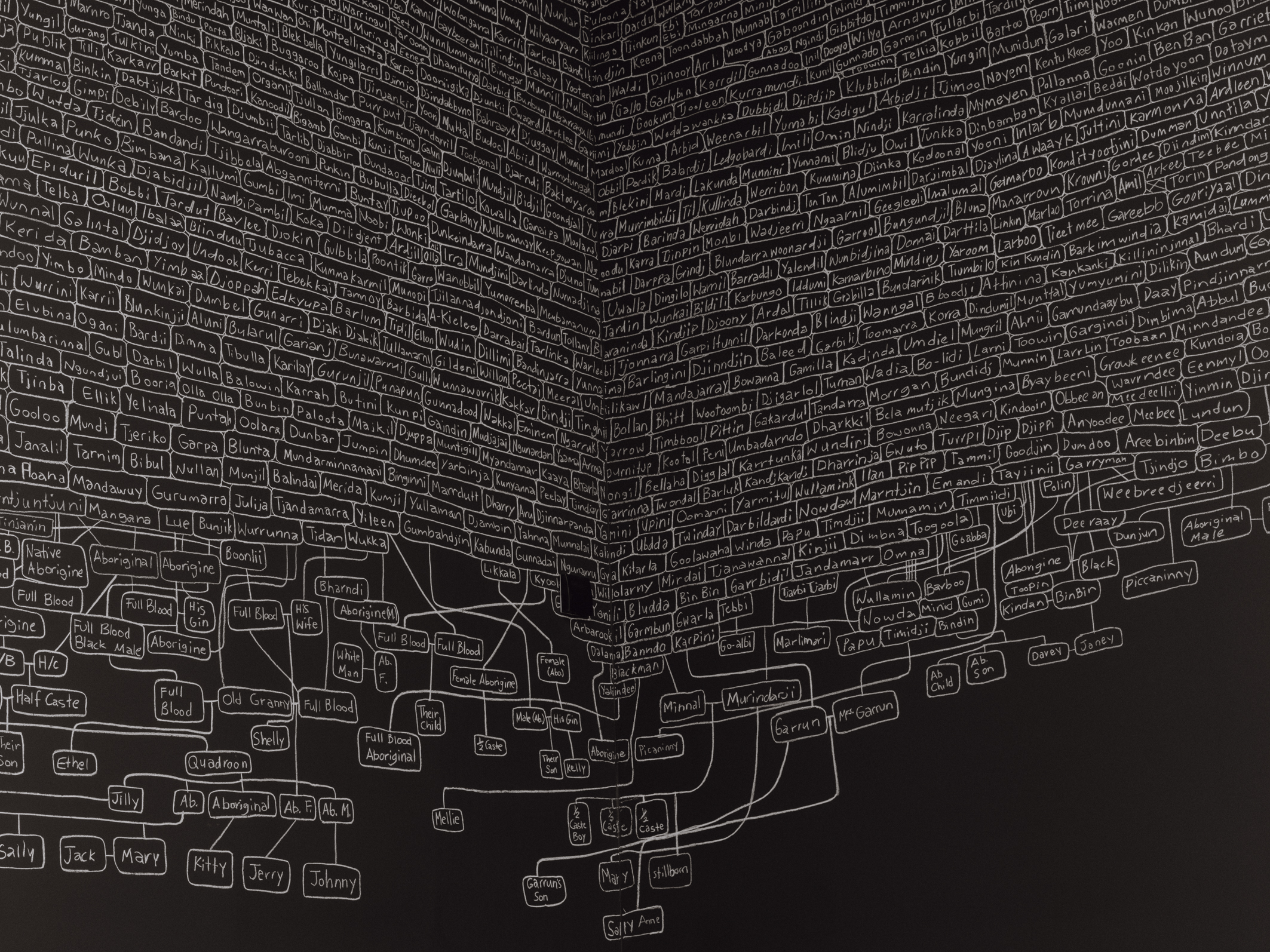 Στην Αυστραλία ο Χρυσός Λέων της 60ης Μπιενάλε-1