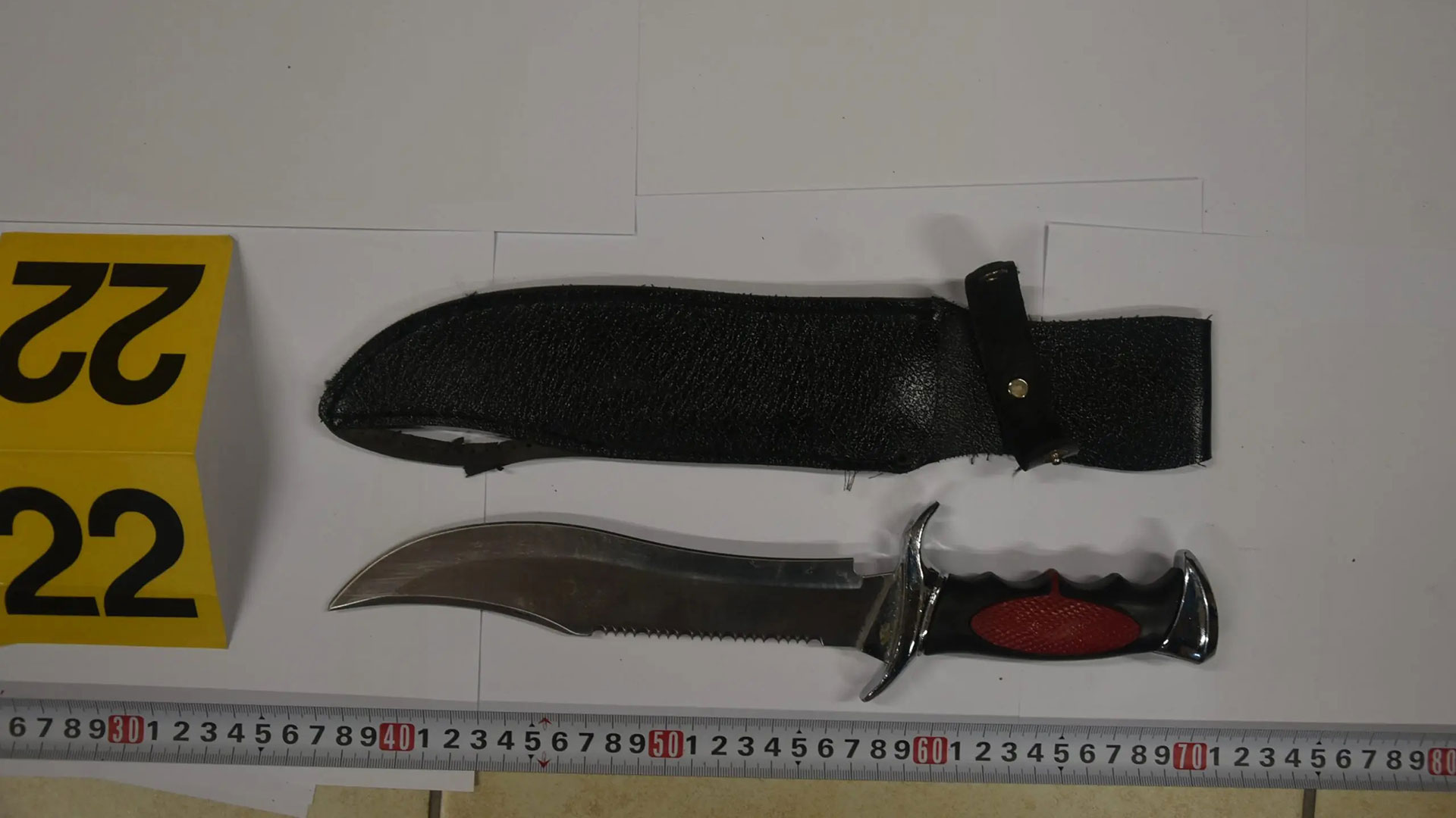 Πάτρα: Συνελήφθησαν δύο αρχαιοκάπηλοι – Βρέθηκαν μαχαίρια, σπαθιά και γκλοπ-4