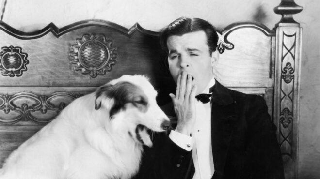 γιατί-οι-γάτες-έχουν-πτυσσόμενα-νύχ-562992601