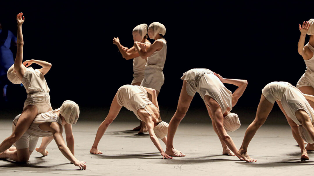 οχάντ-ναχαρίν-ο-καθρέφτης-στον-χορό-ε-562972906