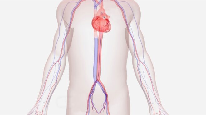 επιδιόρθωση-μιας-ελαττωματικής-αορτ-562960576