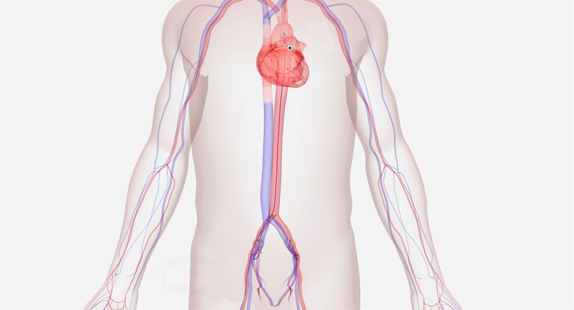 επιδιόρθωση-μιας-ελαττωματικής-αορτ-562960576