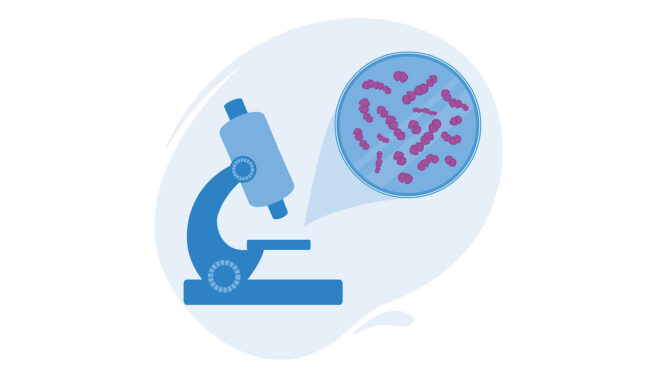 ασπίδα-προστασίας-ενάντια-στον-πνευμ-562966942