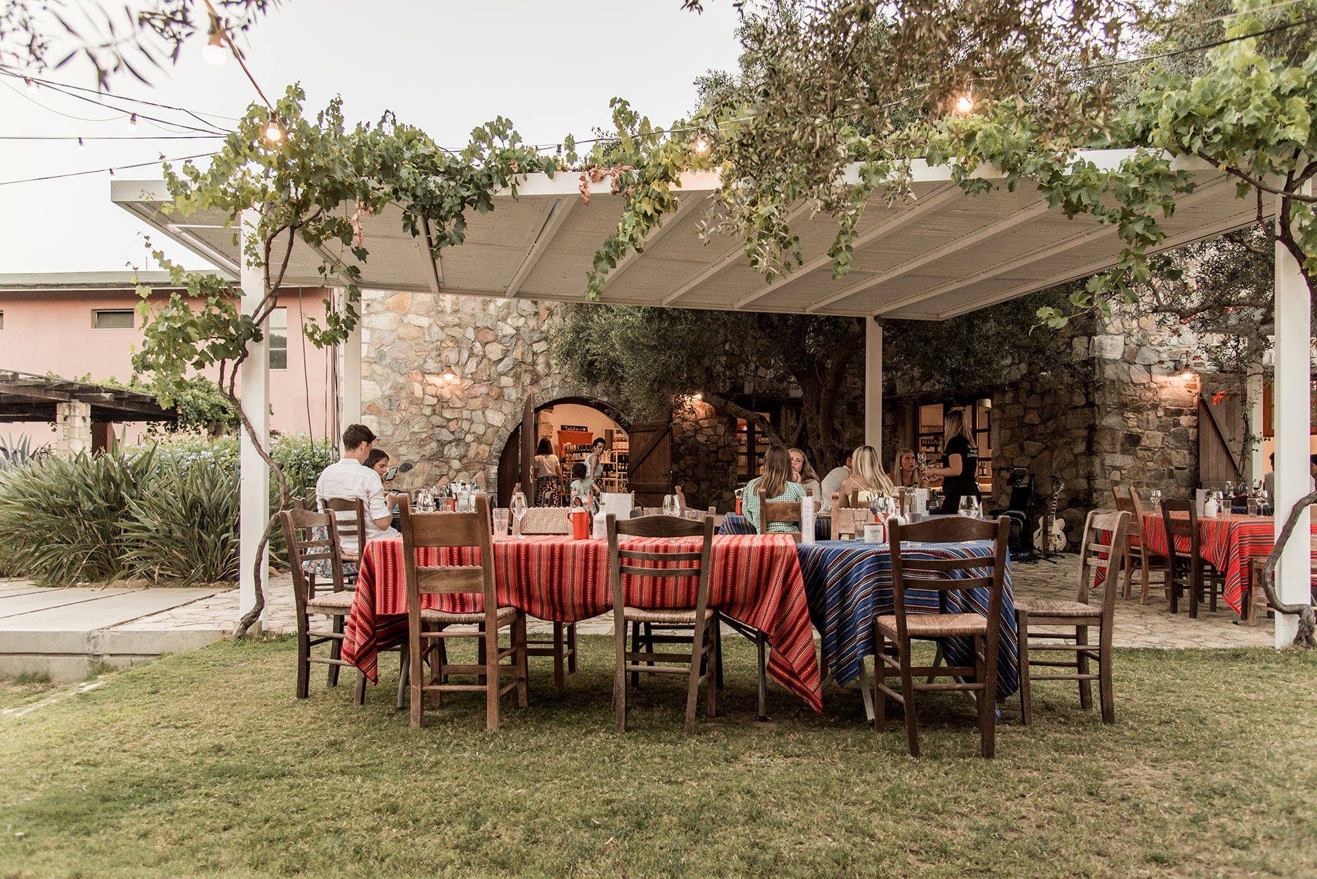 Οινικός τουρισμός: Στο οινοποιείο Μανουσάκη στα Χανιά για κρασί, τέχνη και καλό φαγητό-3