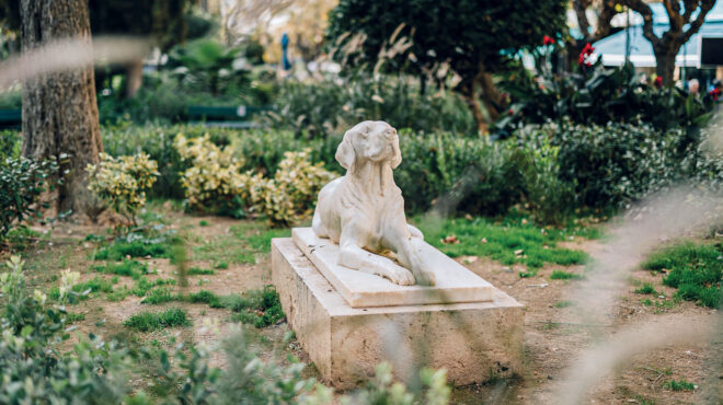 η-ιστορία-πίσω-από-τον-μαρμάρινο-σκύλο-562987357