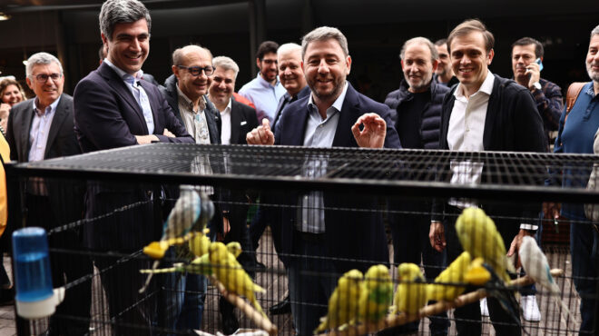 ολοι-νικητές-όπως-στις-φοιτητικές-563003287