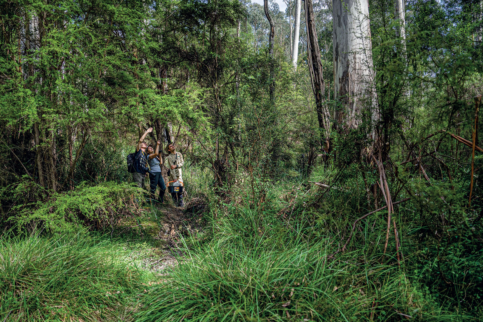 Eχουμε δικαίωμα να αλλάξουμε το DNA των ζώων για να τα σώσουμε ή όχι;-1