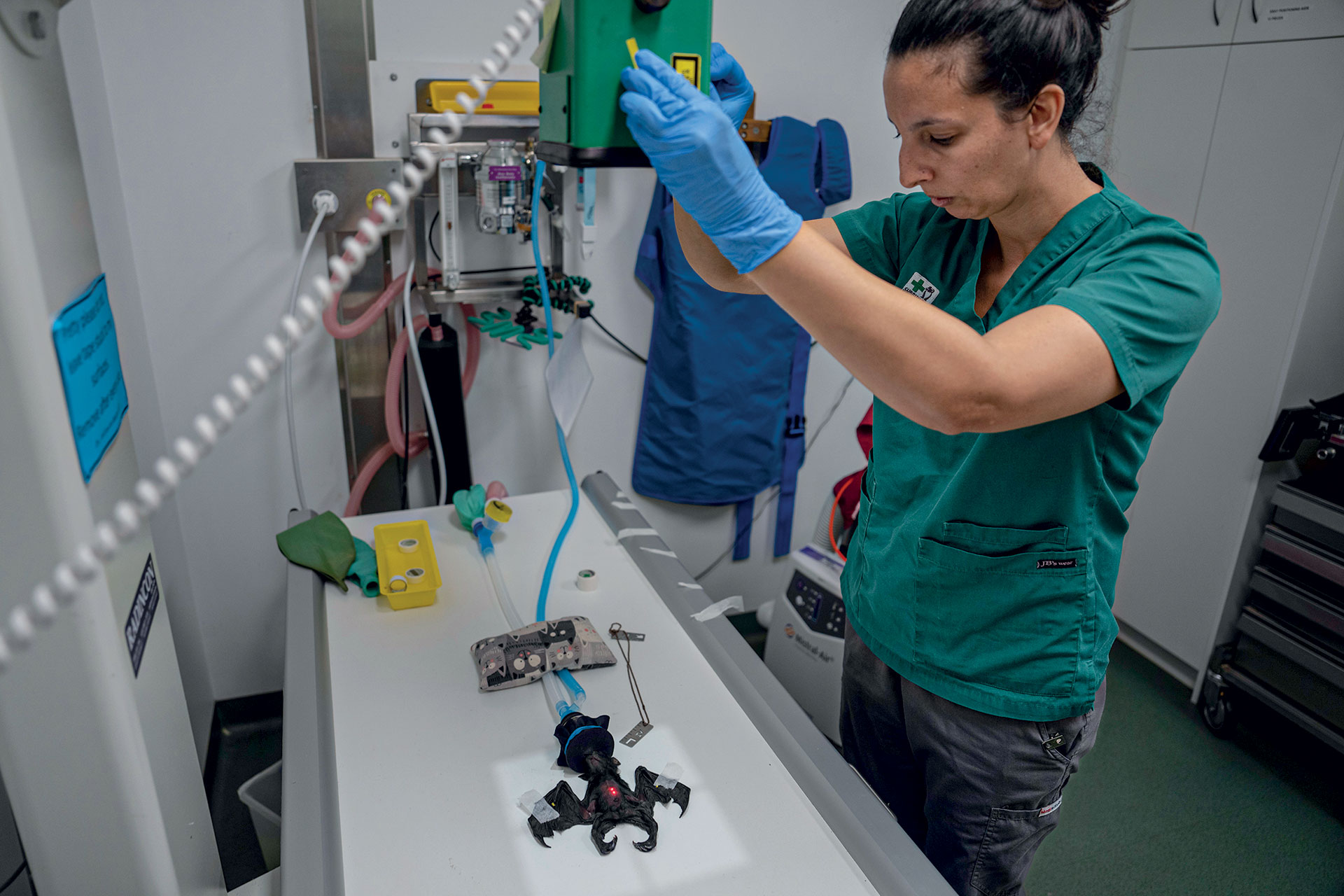 Eχουμε δικαίωμα να αλλάξουμε το DNA των ζώων για να τα σώσουμε ή όχι;-2