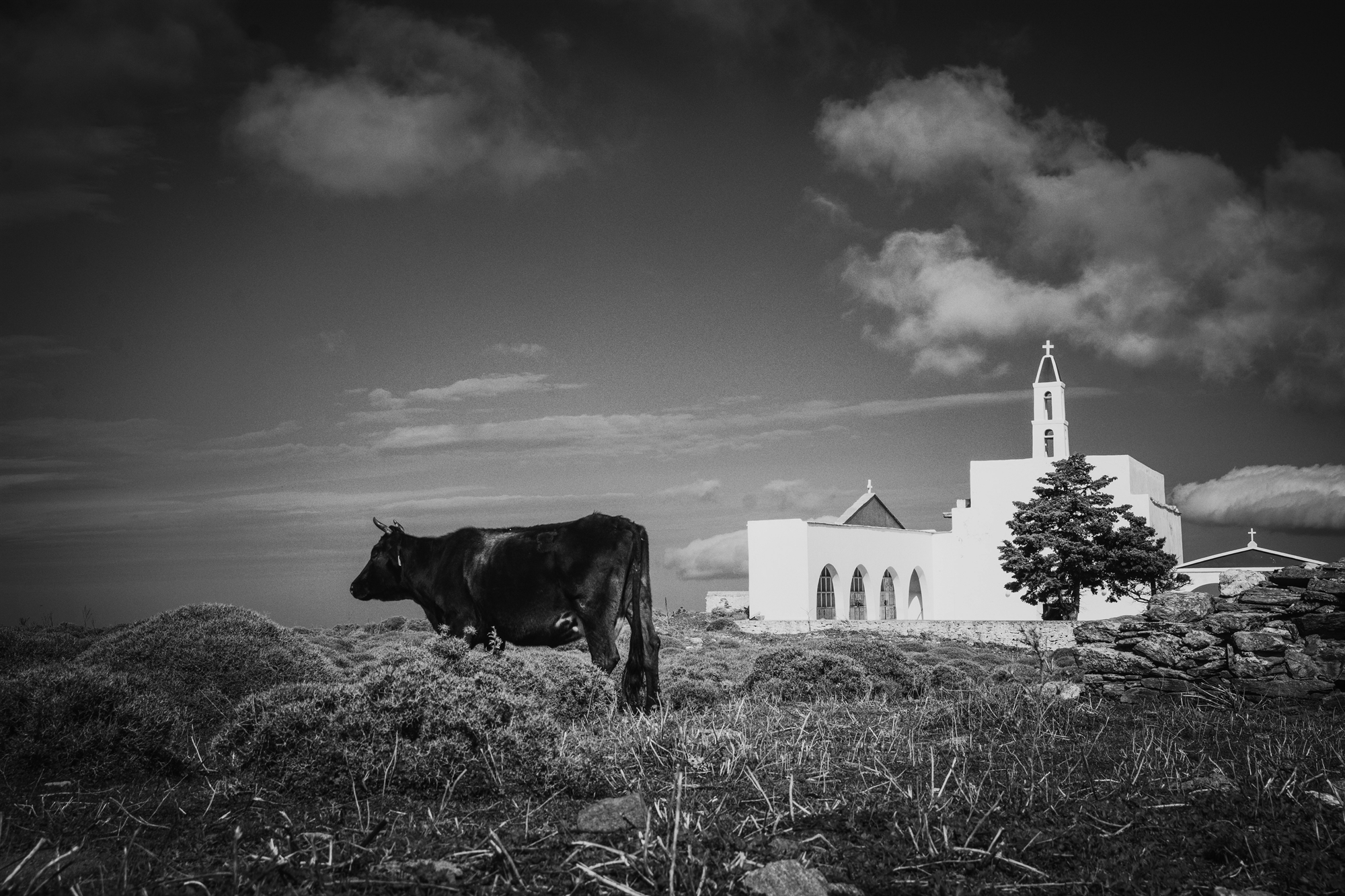 Τήνος: «1.300 πιτσιλιές ασβέστης στην πέτρα»-1