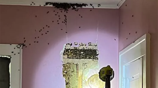 φοβόταν-τα-τέρατα-στο-δωμάτιό-της-563005942