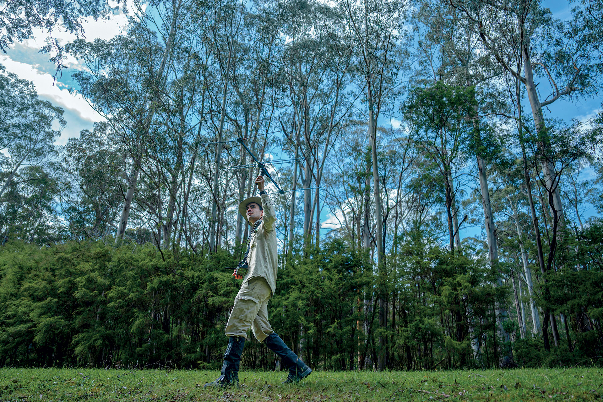 Eχουμε δικαίωμα να αλλάξουμε το DNA των ζώων για να τα σώσουμε ή όχι;-7