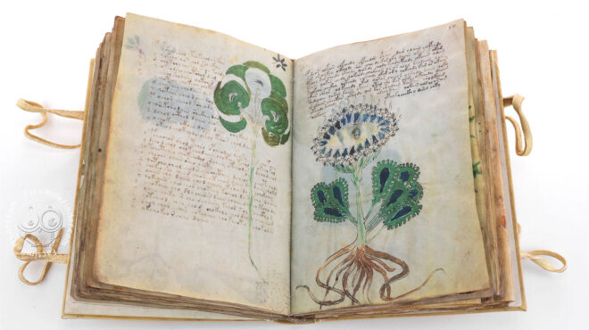 μια-μάλλον-ασυνήθιστη-οικογένεια-μ-562991812