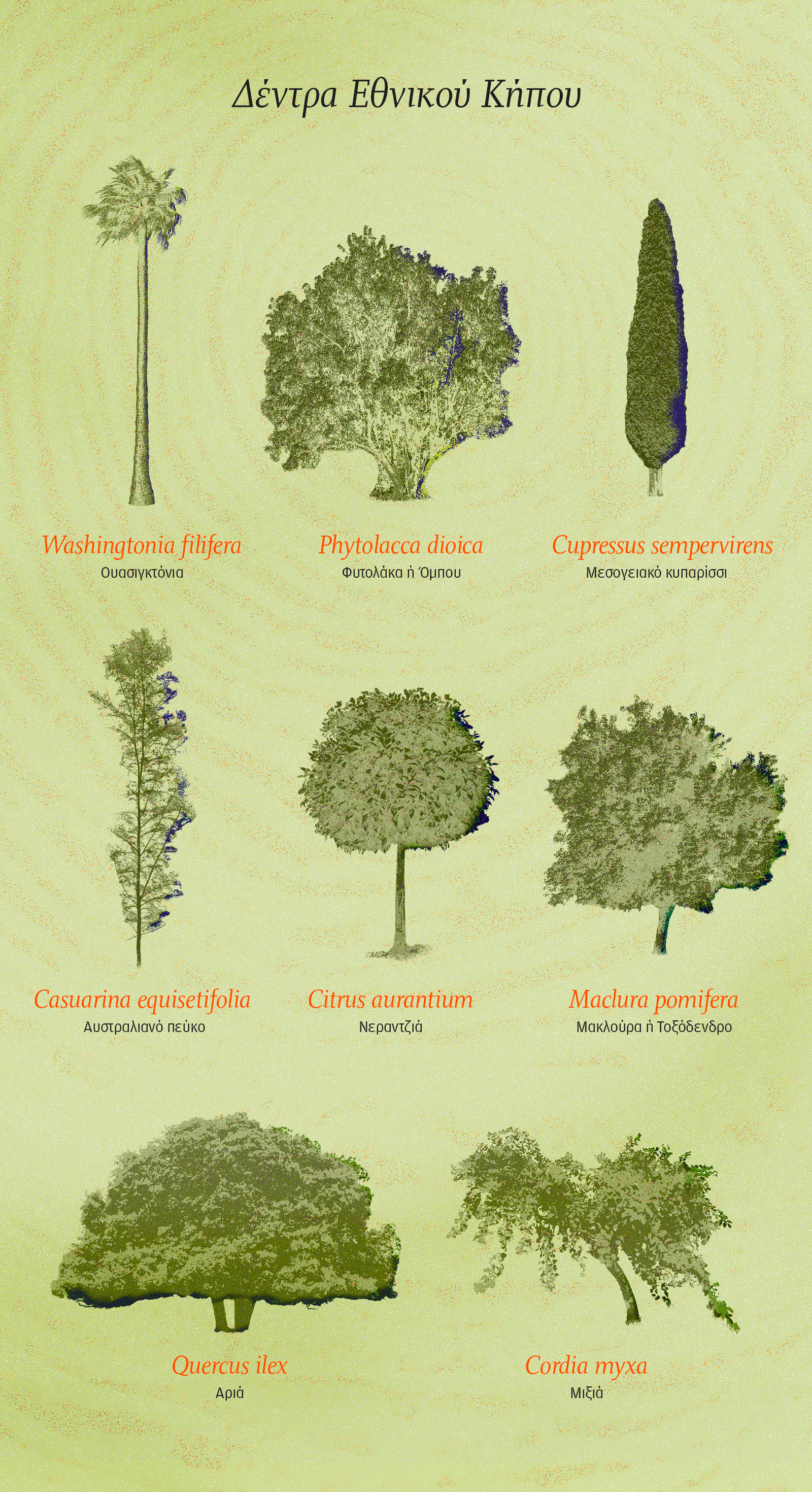 Οι ρίζες του Εθνικού Κήπου-1