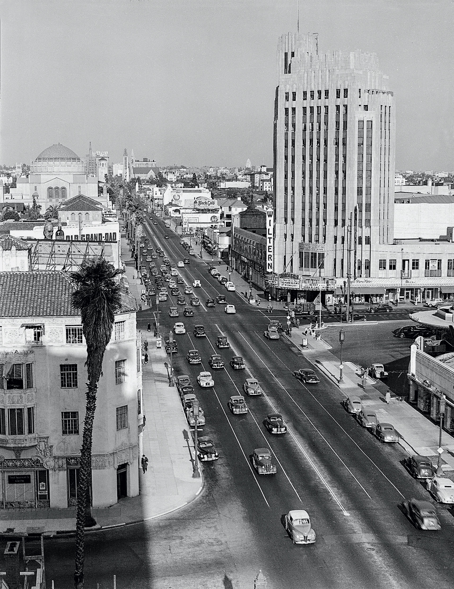 Ελένη Γ. Βλάχου – Από την χώραν των θαυμάτων-13