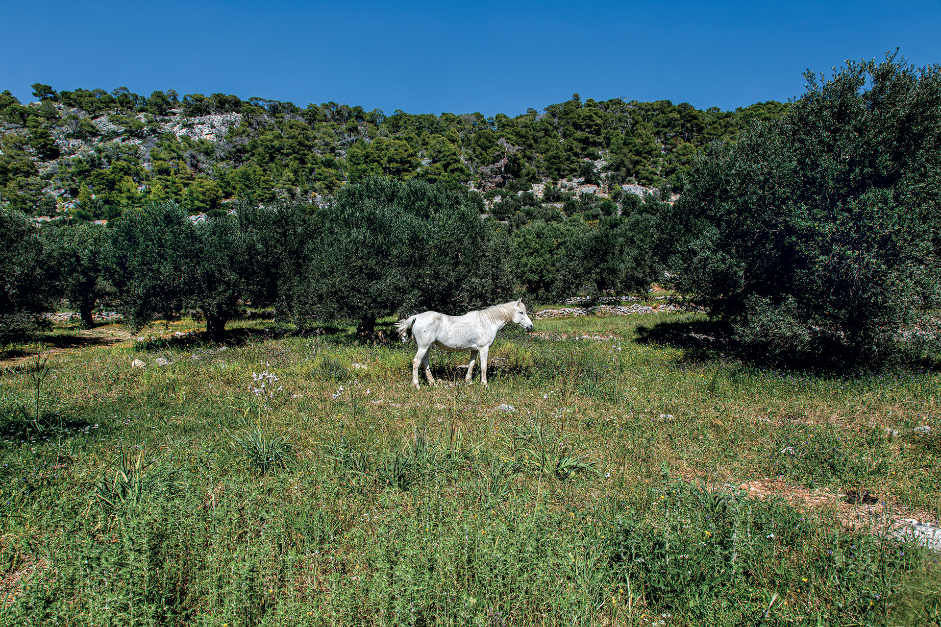 Μία Κυριακή στο Αγκίστρι, στο ησυχαστήριο του Αργοσαρωνικού-1