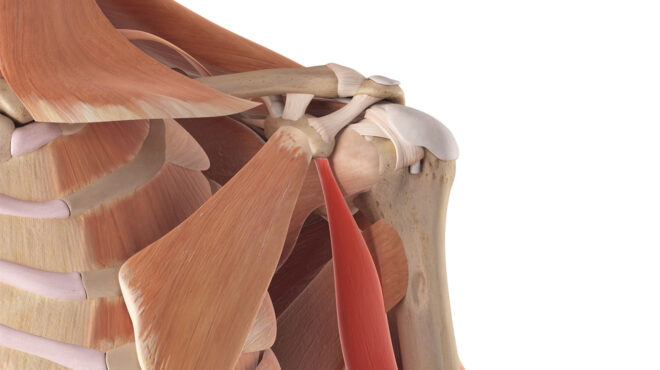 ξεπερνώντας-τον-πόνο-του-ώμου-562963234