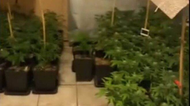 θεσσαλονίκη-ζευγάρι-καλλιεργούσε-δε-562976416