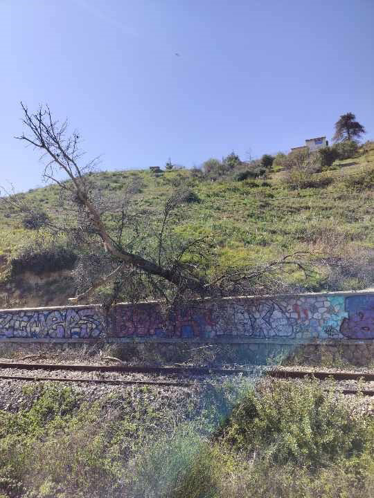 Τρένα: Σε λαβύρινθο ο καθαρισμός του σιδηροδρομικού δικτύου-2