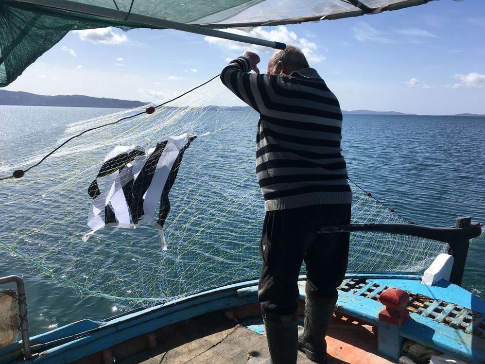 Το καθημερινό ταξίδι του μύχου στην Κριμαία-7