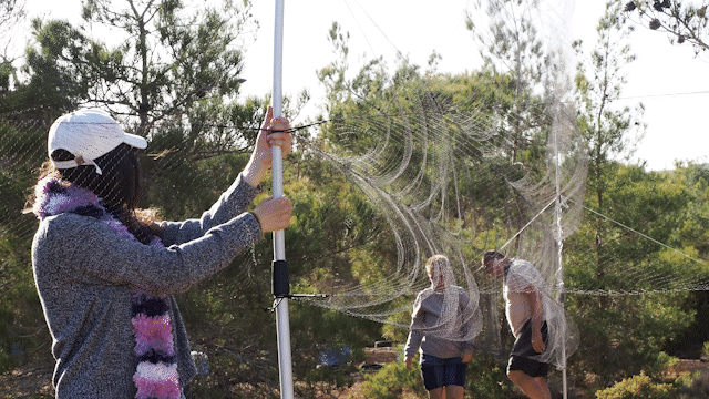 Ακρίτες στην πρώτη γραμμή του μεταναστευτικού-14