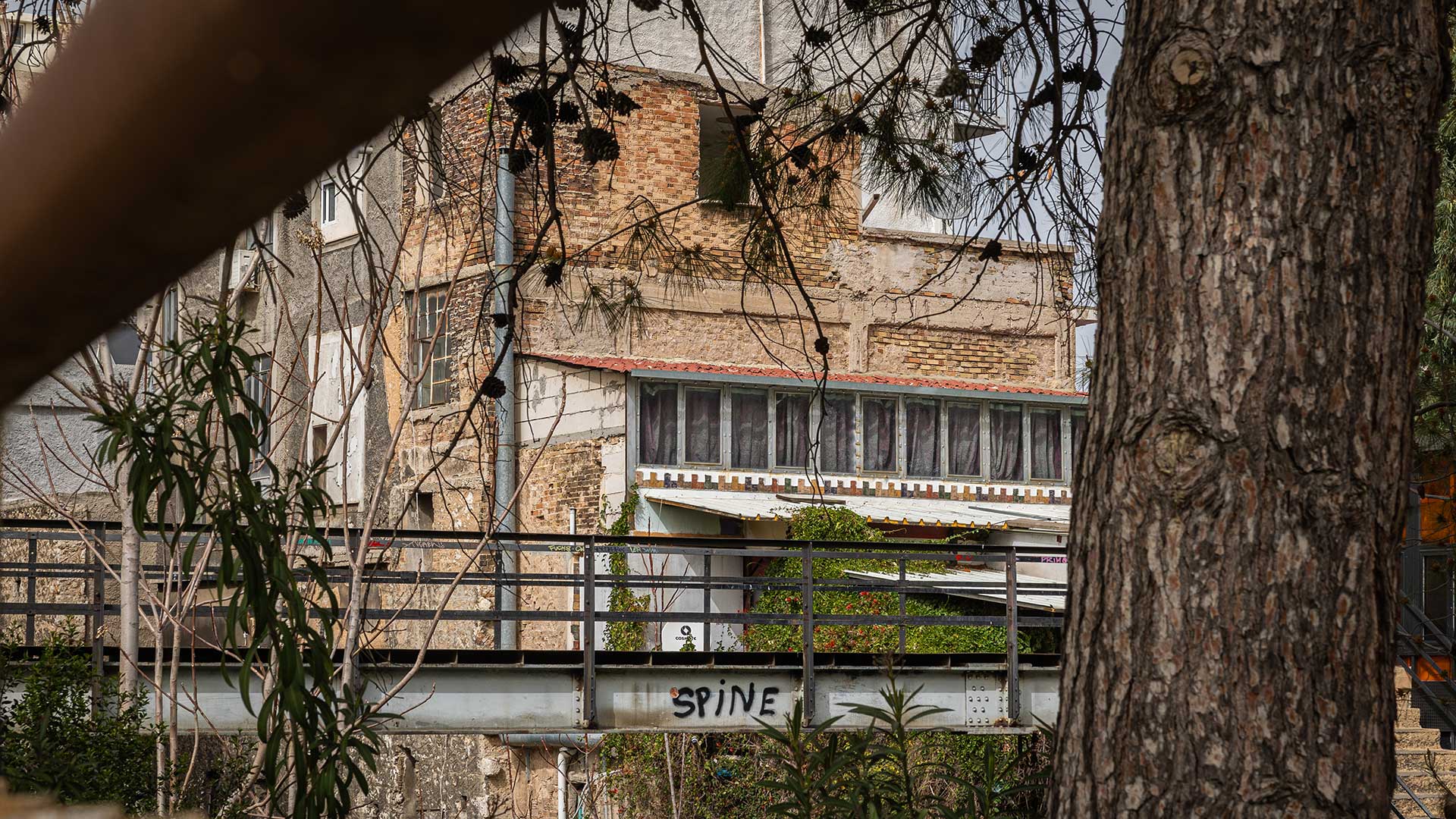 Δραπετσώνα: Βόλτα στις γειτονιές, τις αγορές, τα κουτούκια, τα κεμπαπτζίδικα της ιστορικής συνοικίας-3