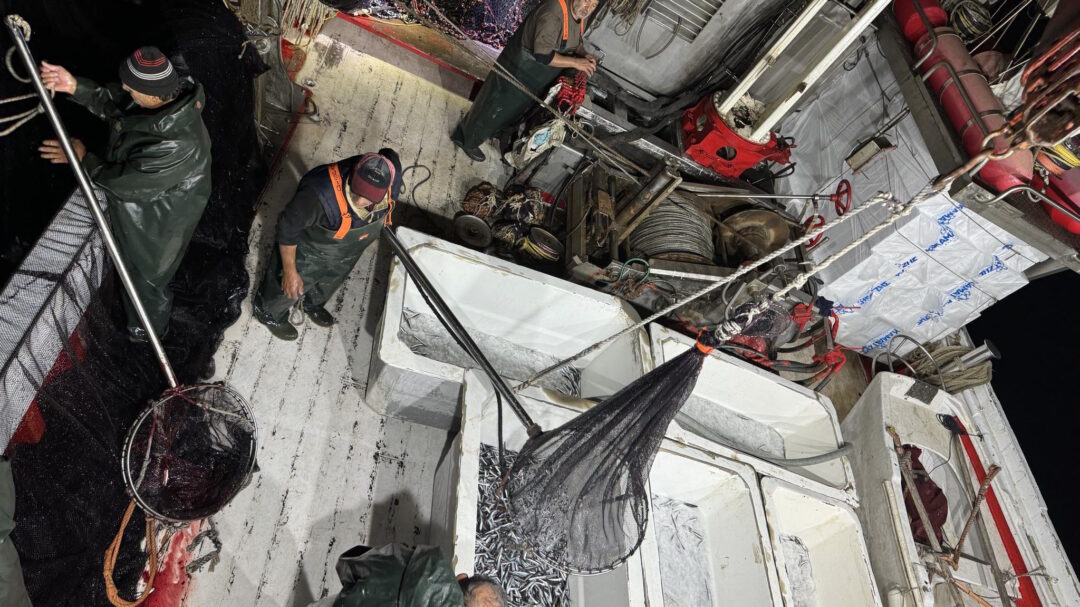 μια-νύχτα-πάνω-σε-γρι-γρι-στον-σαρωνικό-562994608