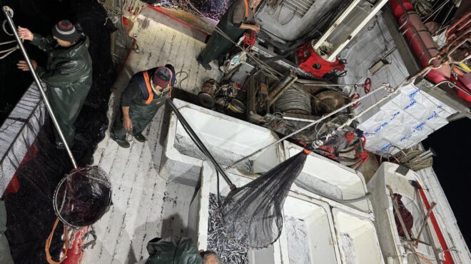 μια-νύχτα-πάνω-σε-γρι-γρι-στον-σαρωνικό-562994608