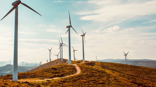 άρθρο-α-κοντολέοντος-στην-κ-απανθρα-562969324