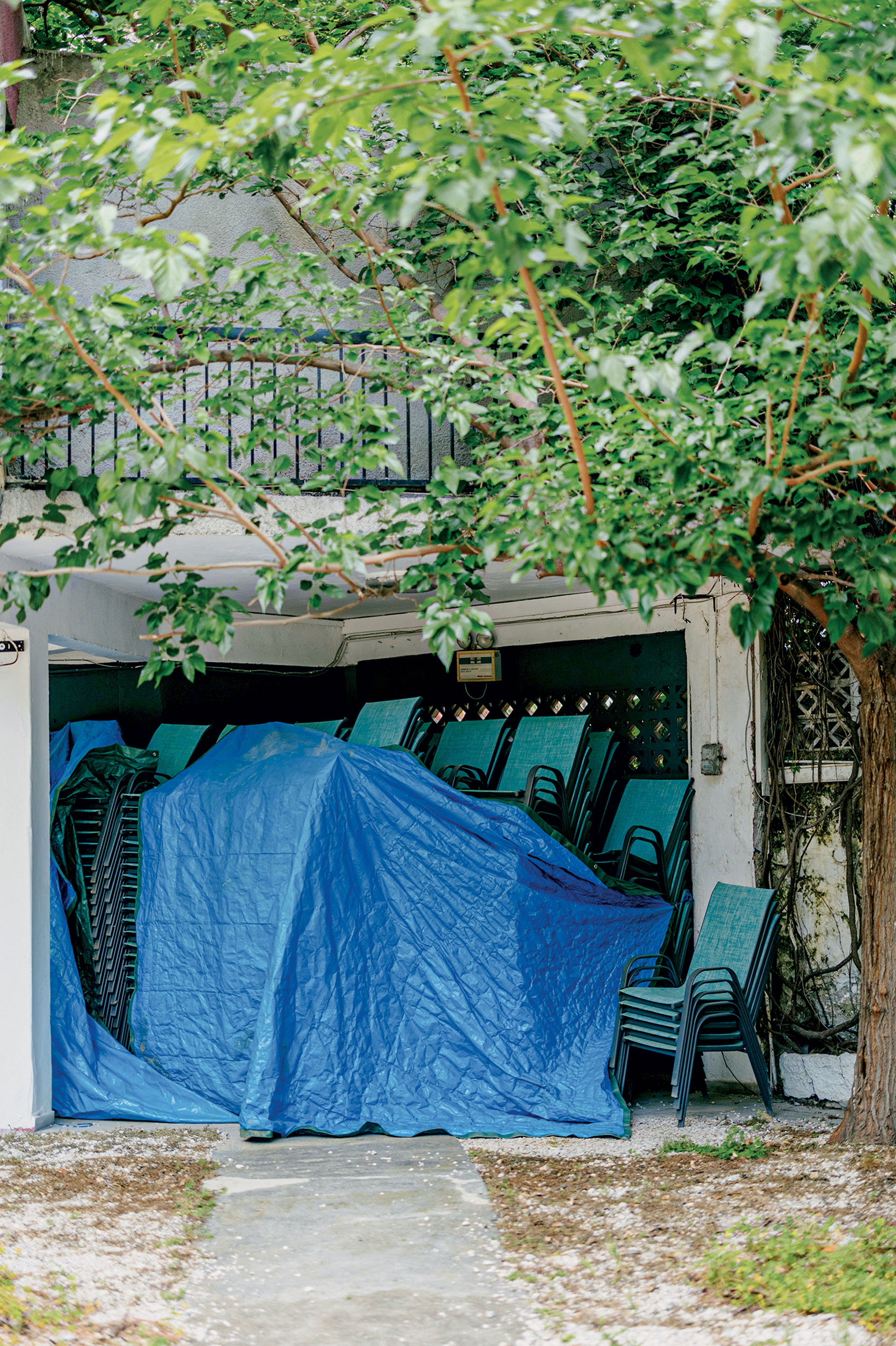 Μέσα στα θερινά σινεμά, λίγο πριν ανοίξουν τις πόρτες τους-4