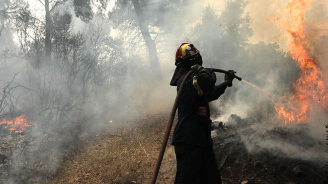 λάρισα-πυρκαγιά-σε-δασική-έκταση-επ-562971115