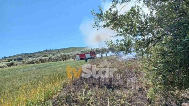 βοιωτία-υπό-μερικό-έλεγχο-η-πυρκαγιά-σ-563003926